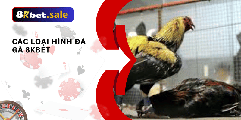 Các loại hình đá gà 8kbet