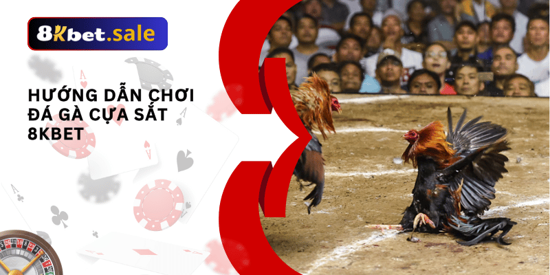 đá gà cựa sắt 8kbet 02