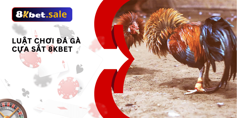 đá gà cựa sắt 8kbet 01