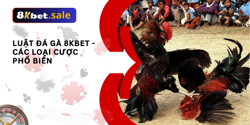 Luật đá gà 8kbet 01