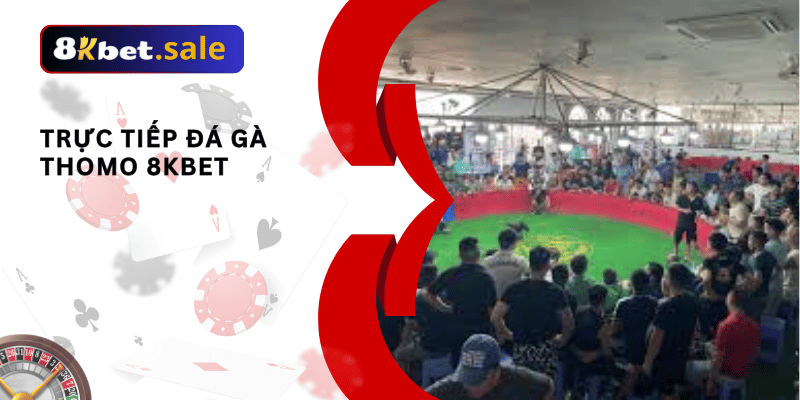 đá gà thomo 8kbet: 01
