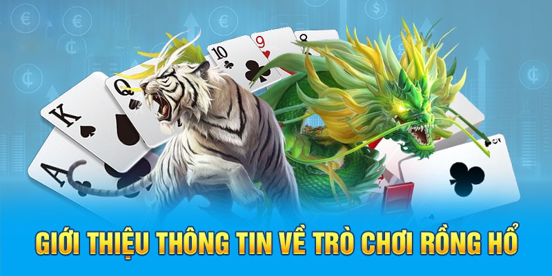 Bật mí những bí quyết chơi Rồng Hổ ở 8Kbet dễ thắng