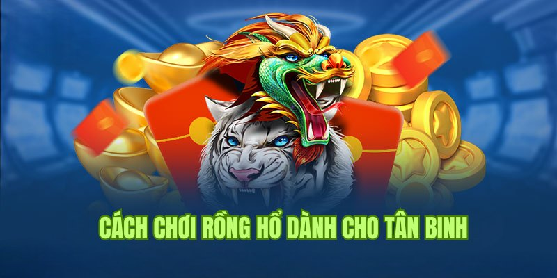 Cách tham gia tựa game Rồng Hồ ở 8Kbet anh em cần biết