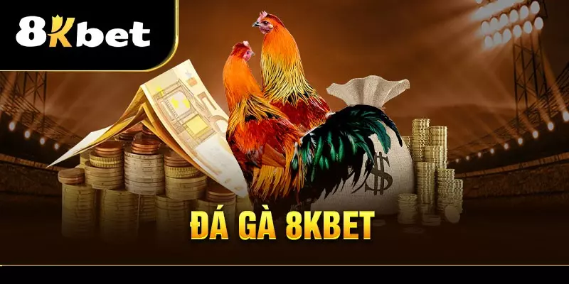 Những điều bet thủ cần biết khi tham gia đá gà trực tuyến
