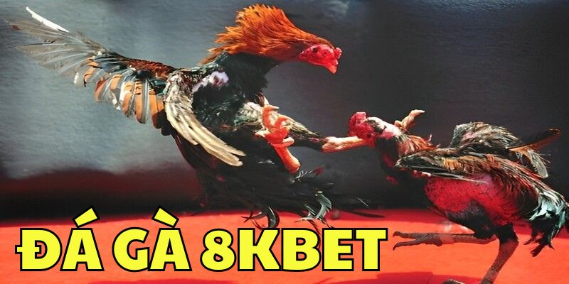 Những ưu điểm khi xem đá gà online ở 8KBET